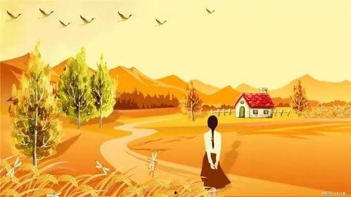 离婚后才知,我竟是他的白月光,他心中的白月光竟是我