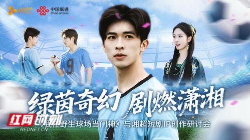 我在野生球场当门神,守护绿茵的钢铁长城